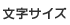 文字サイズ