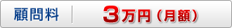 顧問料：3万円（月額）